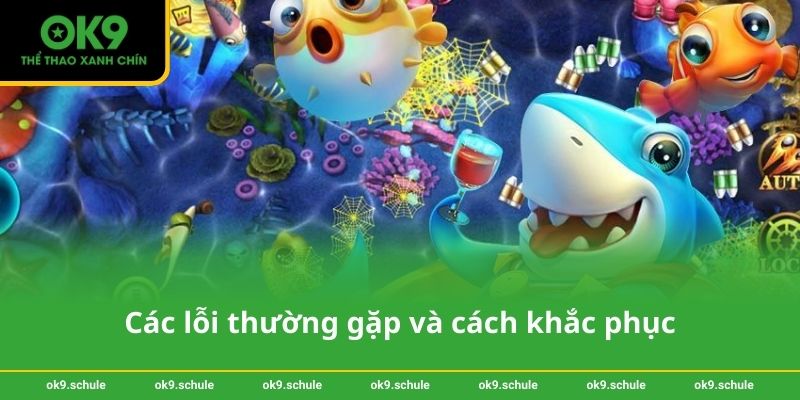 Các lỗi thường gặp và cách khắc phục
