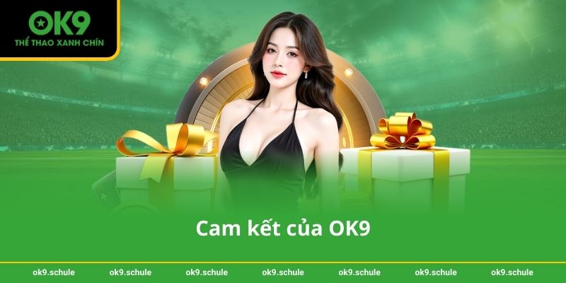 Chính sách bảo mật OK9 3 Cam kết của OK9