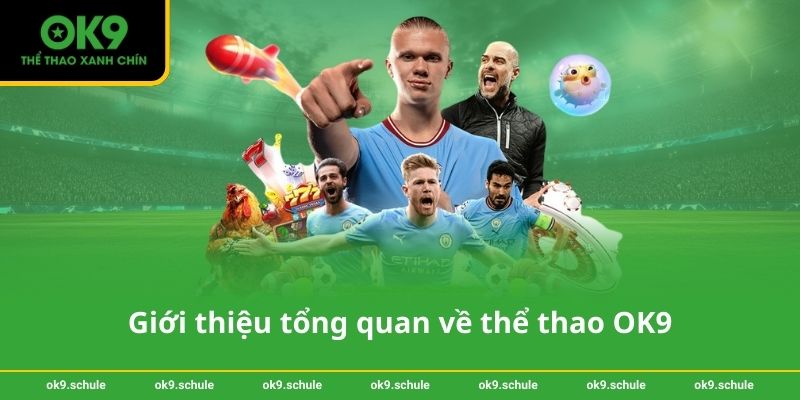 Giới thiệu tổng quan về thể thao OK9
