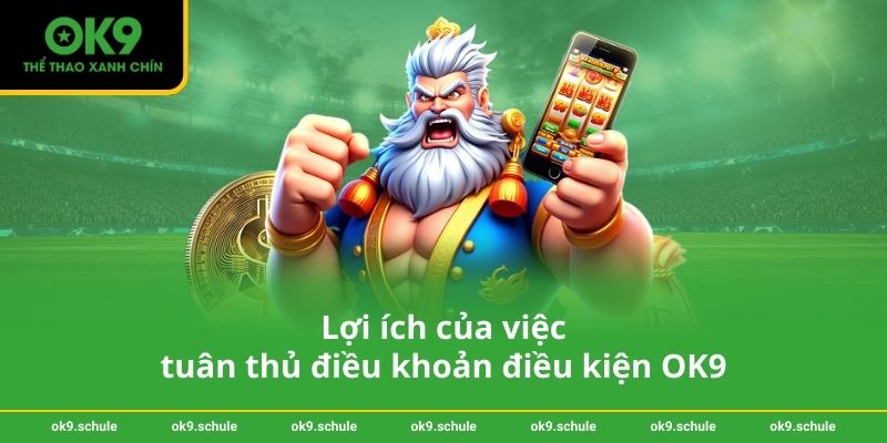 Điều khoản điều kiện OK9 3 Lợi ích của việc tuân thủ điều khoản điều kiện OK9