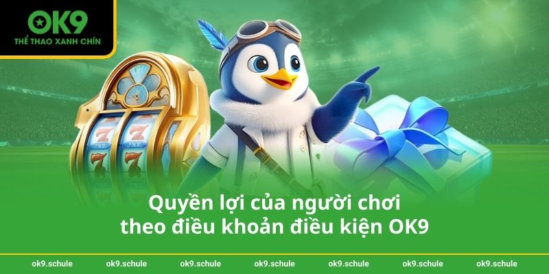 Điều khoản điều kiện OK9 2 Quyền lợi của người chơi theo điều khoản điều kiện OK9