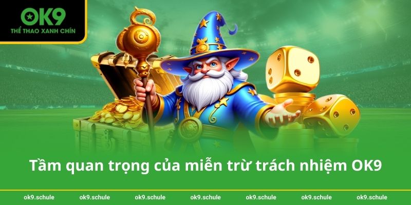 Miễn trừ trách nhiệm OK9 3 Tầm quan trọng của miễn trừ trách nhiệm OK9